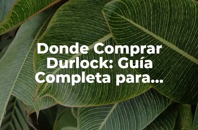 Donde Comprar Durlock: Guía Completa para Encontrar el Mejor Producto