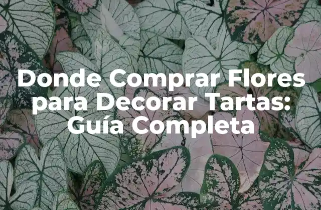 Donde Comprar Flores para Decorar Tartas: Guía Completa