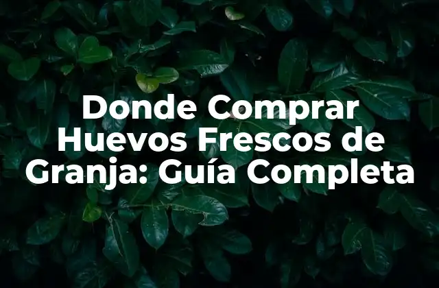 Donde Comprar Huevos Frescos de Granja: Guía Completa