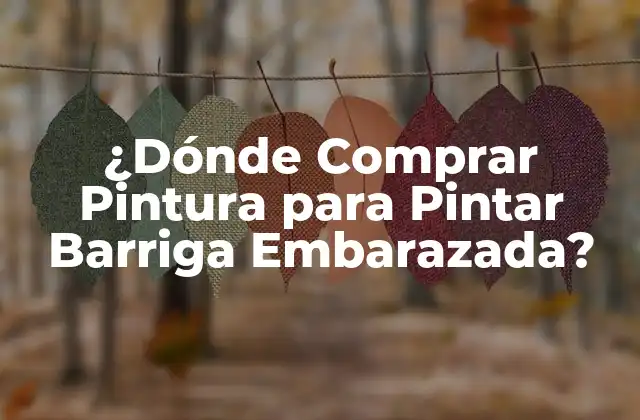 ¿dónde Comprar Pintura para Pintar Barriga Embarazada?