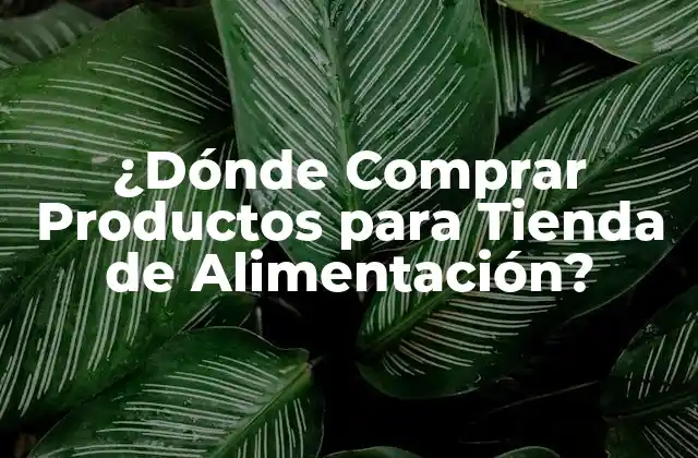 ¿dónde Comprar Productos para Tienda de Alimentación?