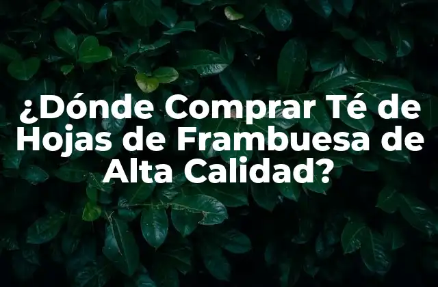¿dónde Comprar Té de Hojas de Frambuesa de Alta Calidad?