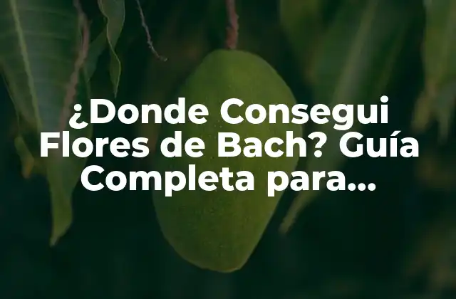 ¿donde Consegui Flores de Bach? Guía Completa para Encontrar las Flores de Bach