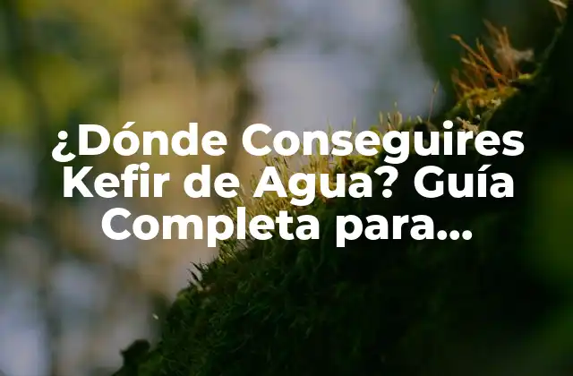 ¿dónde Conseguires Kefir de Agua? Guía Completa para Encontrar Este Probiótico Natural