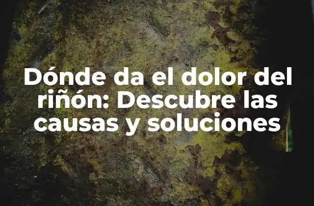 Dónde Da el Dolor Del Riñón: Descubre las Causas y Soluciones 2 Causas comunes del dolor del riñón