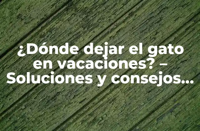 ¿dónde Dejar el Gato en Vacaciones? – Soluciones y Consejos Prácticos para Viajeros con Mascotas