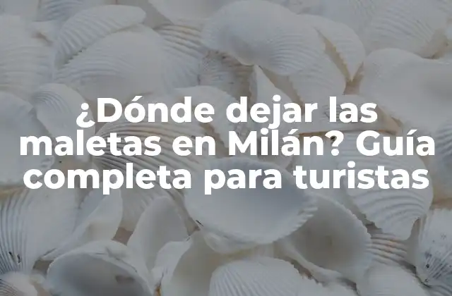 ¿dónde Dejar las Maletas en Milán? Guía Completa para Turistas