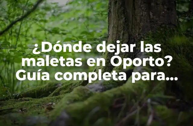 ¿dónde Dejar las Maletas en Oporto? Guía Completa para Turistas