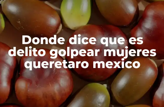 Donde Dice que es Delito Golpear Mujeres Queretaro Mexico