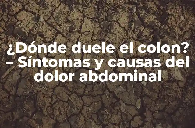 ¿Qué es el dolor abdominal?