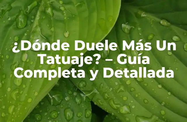 ¿dónde Duele Más un Tatuaje? - Guía Completa y Detallada 2 ¿Por qué Duele un Tatuaje?