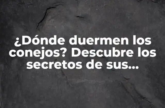 ¿dónde Duermen los Conejos? Descubre los Secretos de Sus Guaridas