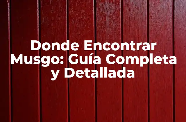 Donde Encontrar Musgo: Guía Completa y Detallada