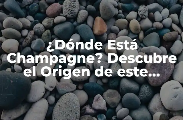 ¿dónde Está Champagne? Descubre el Origen de Este Famoso Vino Espumoso