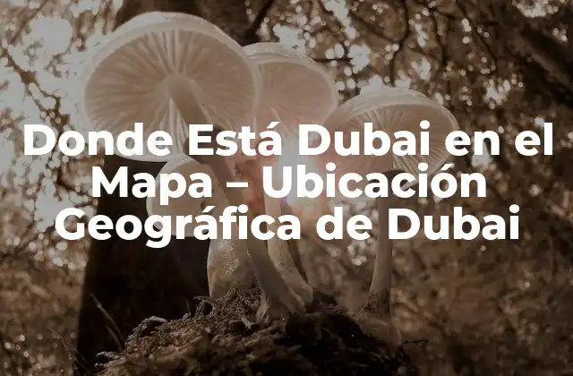 Donde Está Dubai en el Mapa – Ubicación Geográfica de Dubai