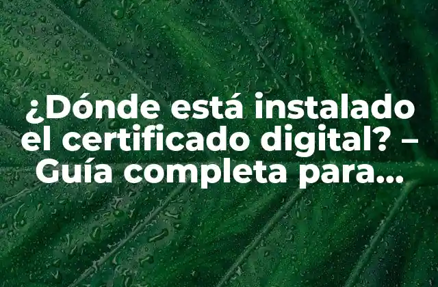 ¿dónde Está Instalado el Certificado Digital? – Guía Completa para Encontrarlo