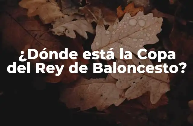 ¿dónde Está la Copa Del Rey de Baloncesto?