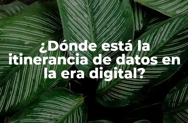¿dónde Está la Itinerancia de Datos en la Era Digital?