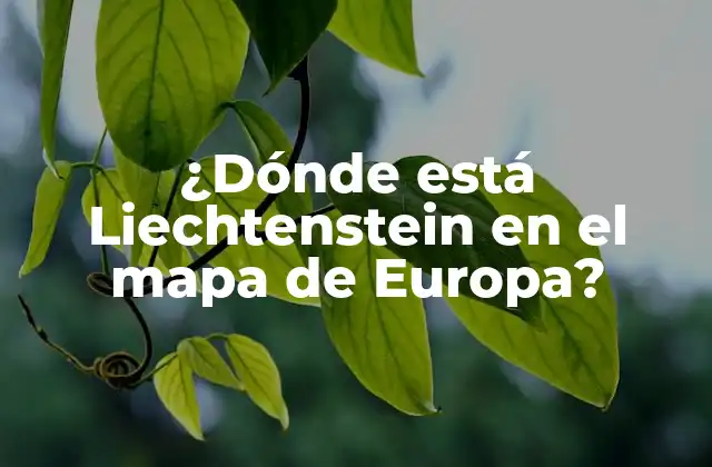 ¿dónde Está Liechtenstein en el Mapa de Europa?