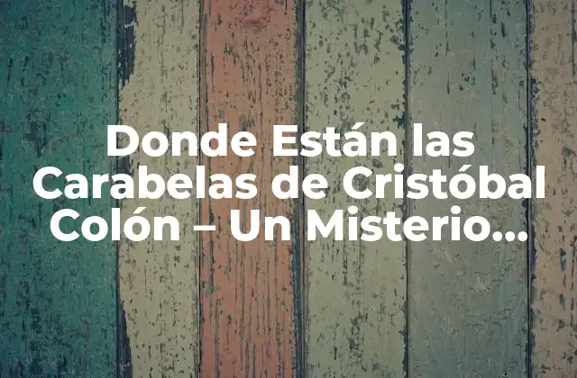 Donde Están las Carabelas de Cristóbal Colón – un Misterio Histórico