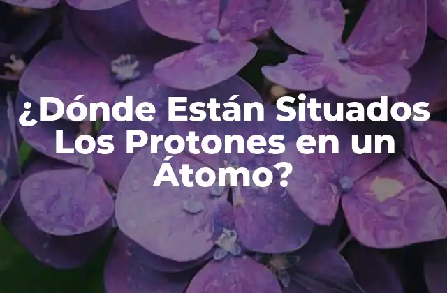 ¿dónde Están Situados los Protones en un Átomo?