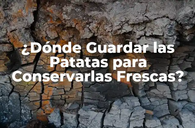 ¿dónde Guardar las Patatas para Conservarlas Frescas?