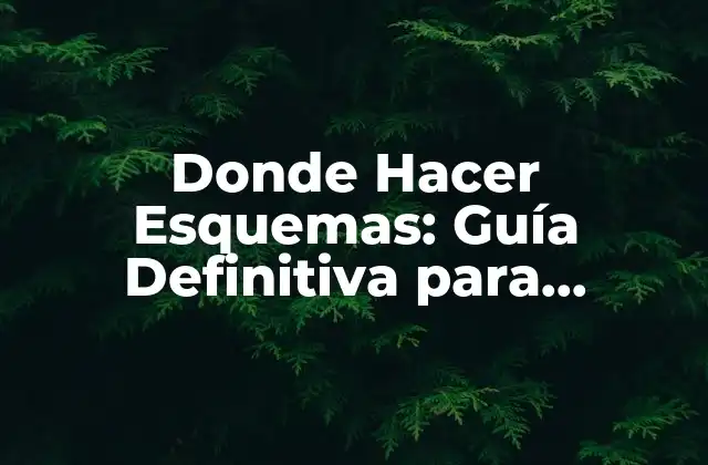 Donde Hacer Esquemas: Guía Definitiva para Creadores y Estudiantes