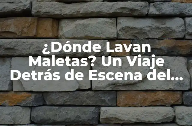 ¿dónde Lavan Maletas? un Viaje Detrás de Escena Del Proceso de Manipulación de Equipajes en los Aeropuertos