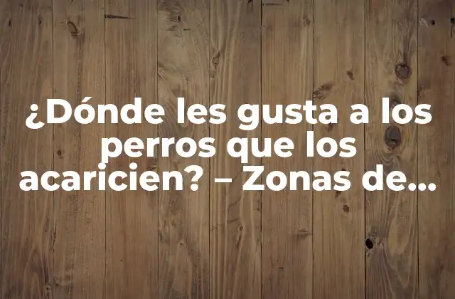 ¿dónde Les Gusta a los Perros que los Acaricien? – Zonas de Amor Canino Reveladas