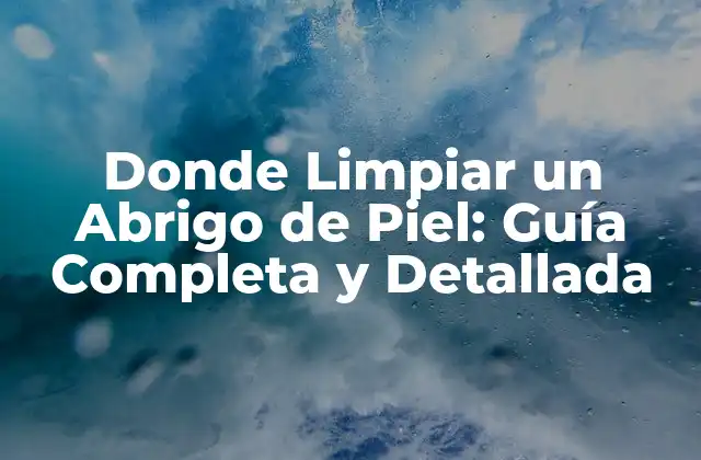 Donde Limpiar un Abrigo de Piel: Guía Completa y Detallada