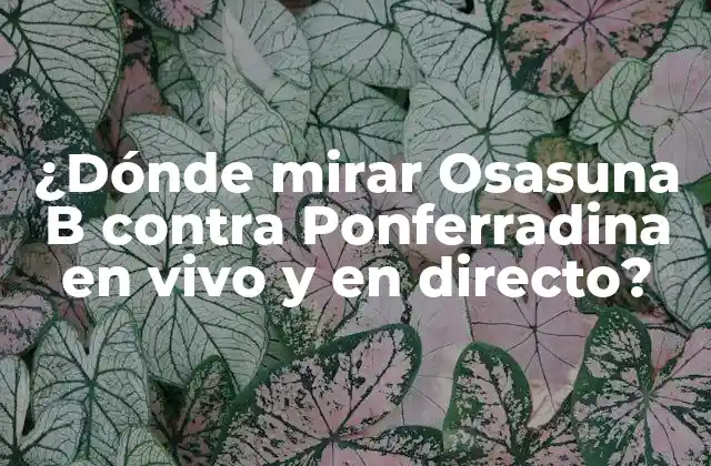 ¿dónde Mirar Osasuna B contra Ponferradina en Vivo y en Directo?