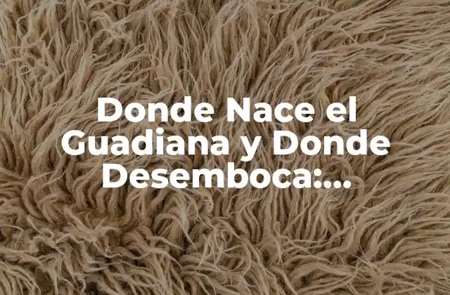 Donde Nace el Guadiana y Donde Desemboca: Descubriendo el Curso Del Río