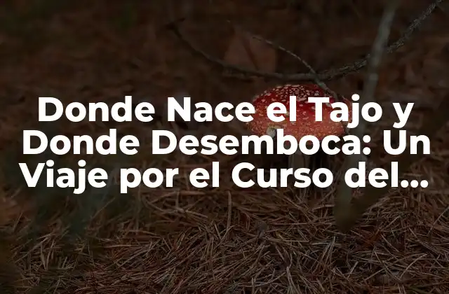 Donde Nace el Tajo y Donde Desemboca: un Viaje por el Curso Del Río