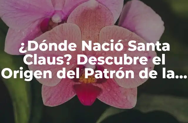 ¿dónde Nació Santa Claus? Descubre el Origen Del Patrón de la Navidad