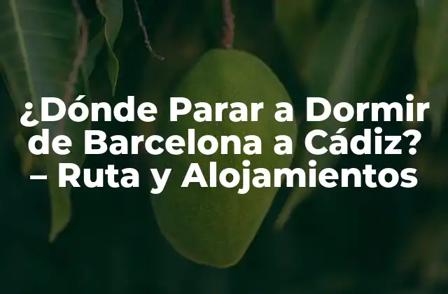 ¿dónde Parar a Dormir de Barcelona a Cádiz? – Ruta y Alojamientos