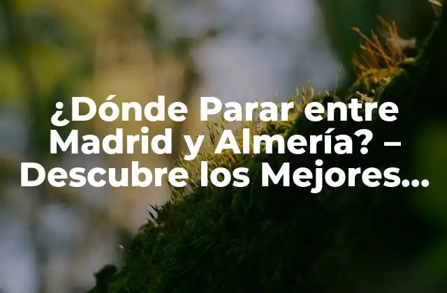 ¿dónde Parar entre Madrid y Almería? – Descubre los Mejores Pueblos y Ciudades en el Camino