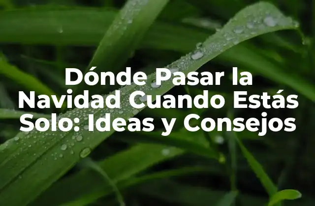 Dónde Pasar la Navidad Cuando Estás Solo: Ideas y Consejos