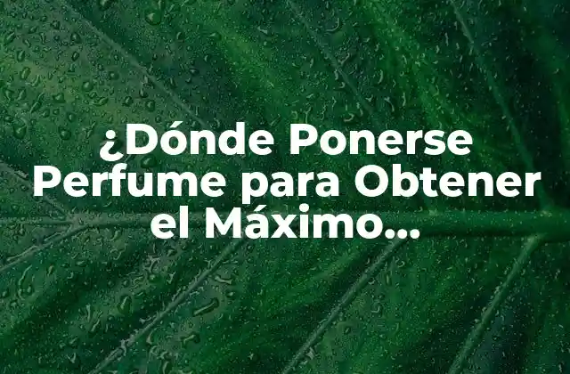 ¿dónde Ponerse Perfume para Obtener el Máximo Aprovechamiento? 2 La Importancia de la Aplicación Correcta del Perfume