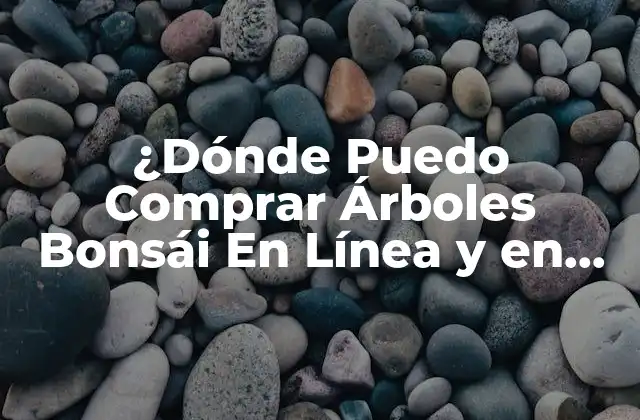 ¿dónde Puedo Comprar Árboles Bonsái en Línea y en Tiendas Físicas?