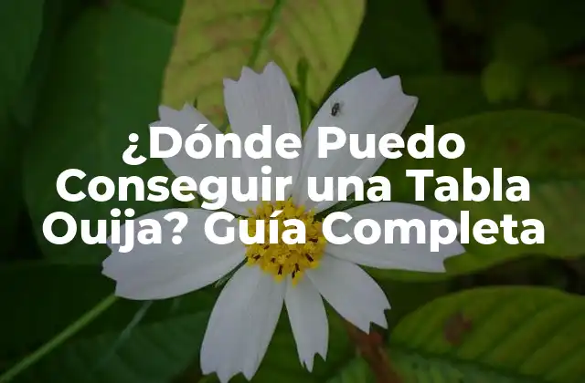 ¿dónde Puedo Conseguir una Tabla Ouija? Guía Completa