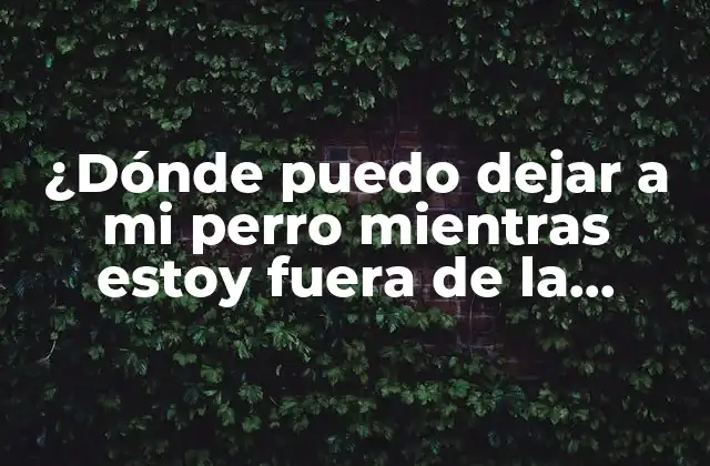 ¿dónde Puedo Dejar a Mi Perro Mientras Estoy Fuera de la Ciudad?