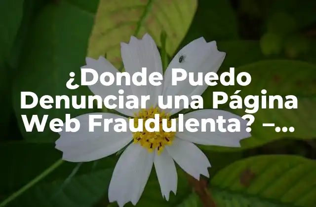 ¿donde Puedo Denunciar una Página Web Fraudulenta? – Guía Completa
