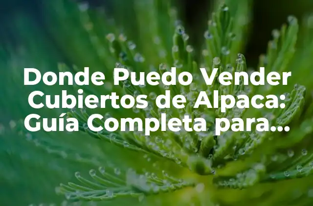 Donde Puedo Vender Cubiertos de Alpaca: Guía Completa para Emprendedores