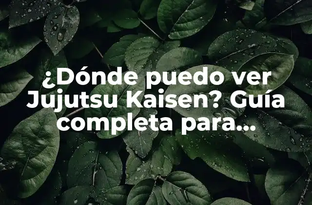 ¿dónde Puedo Ver Jujutsu Kaisen? Guía Completa para Disfrutar de la Serie de Anime