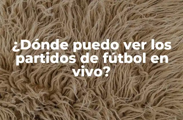 ¿dónde Puedo Ver los Partidos de Fútbol en Vivo?