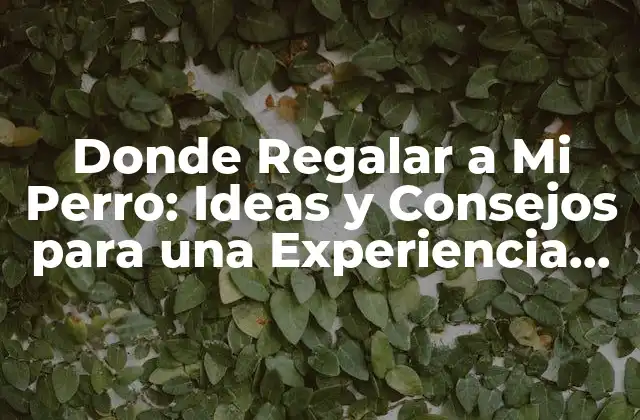 Donde Regalar a Mi Perro: Ideas y Consejos para una Experiencia Única