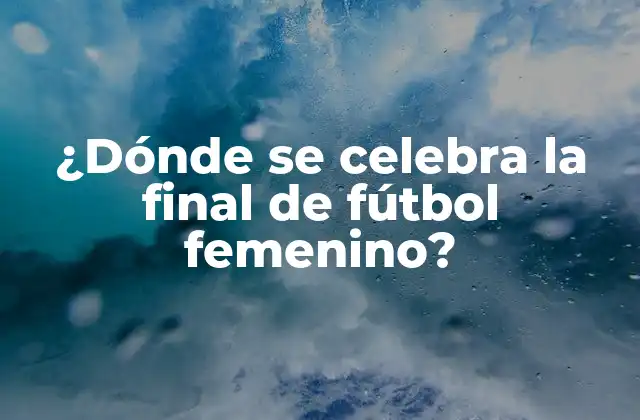 ¿dónde Se Celebra la Final de Fútbol Femenino?