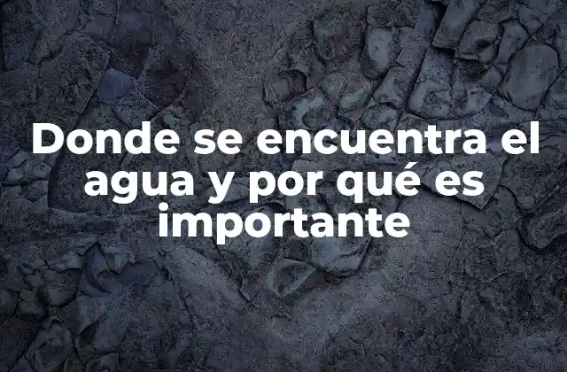 Donde Se Encuentra el Agua y por Qué es Importante
