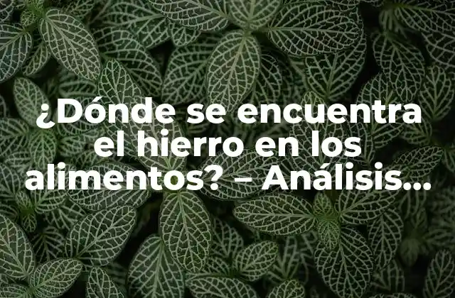 ¿dónde Se Encuentra el Hierro en los Alimentos? – Análisis Detallado de las Fuentes de Hierro