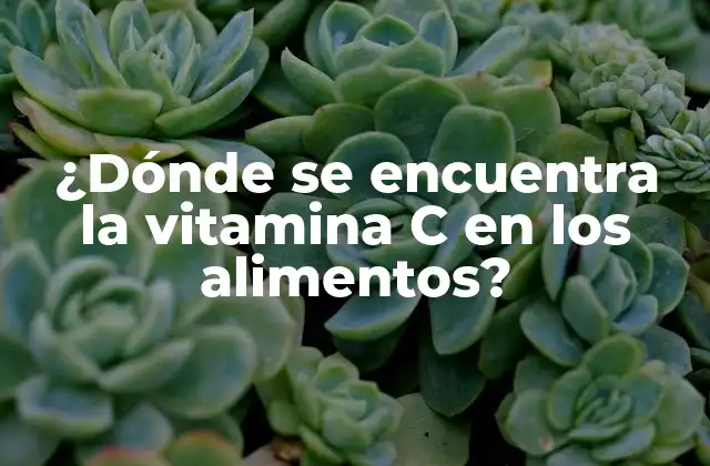 ¿dónde Se Encuentra la Vitamina C en los Alimentos?